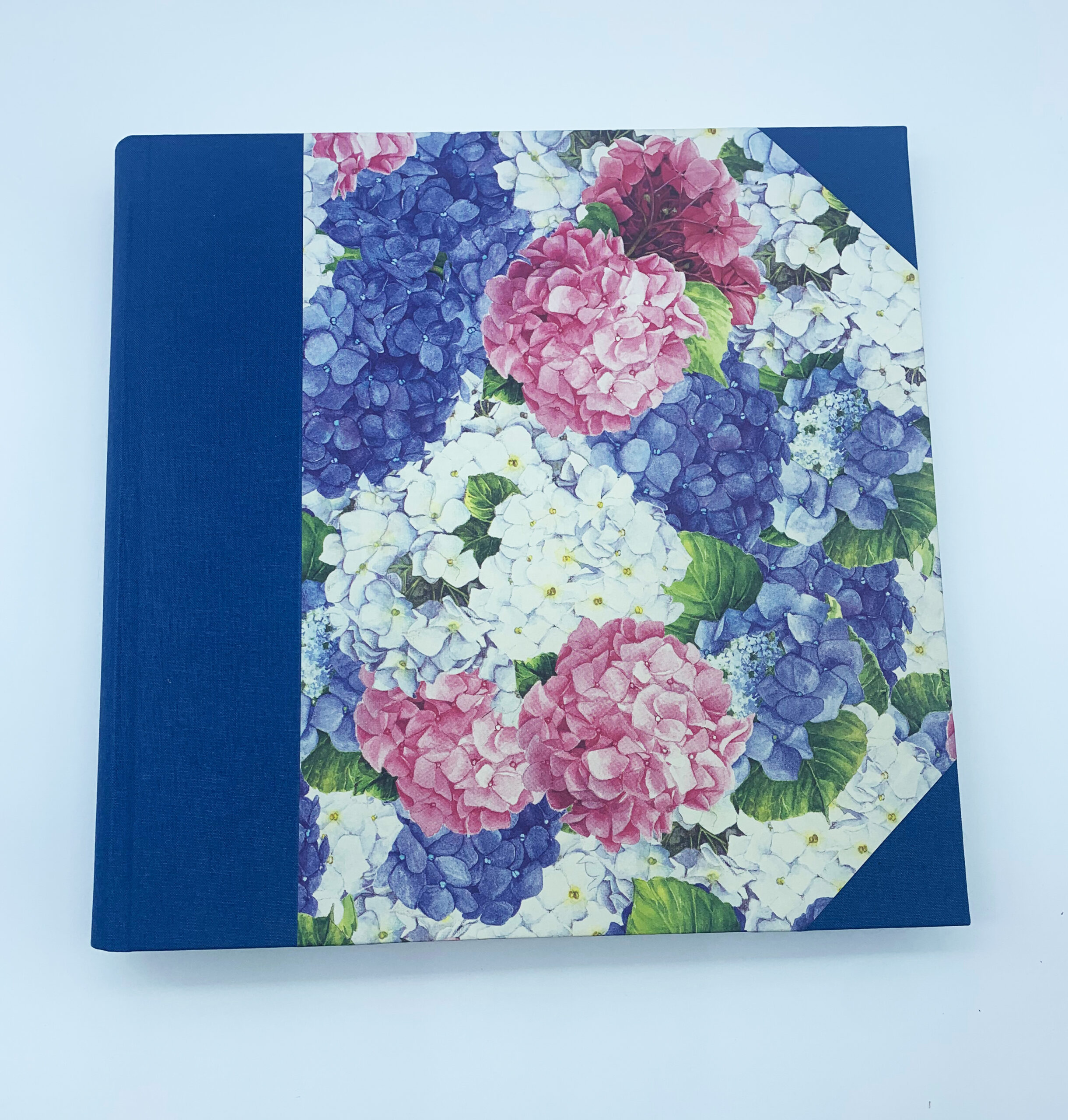 Álbum Hortensias